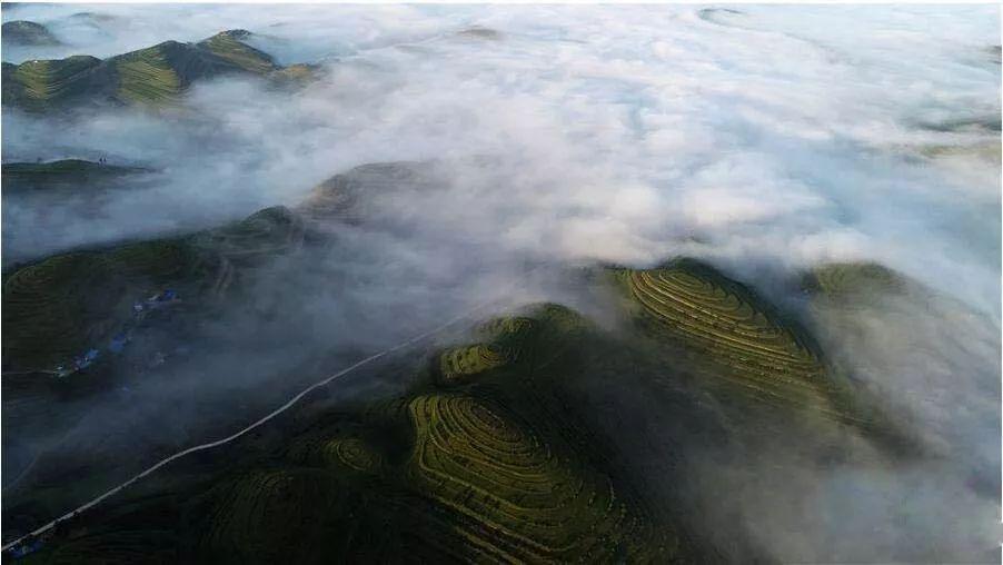 逃离别墅度假村